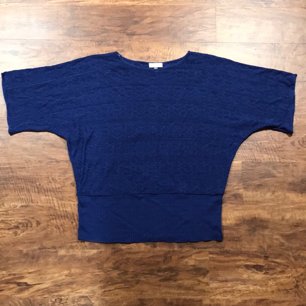 Fashion Bug Size 1X Blue Knit Top